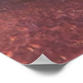 Wobbegong Portrait III Poster (Ecke)