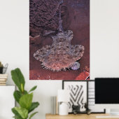 Wobbegong Portrait III Poster (Heimbüro)