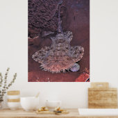 Wobbegong Portrait III Poster (Küche)
