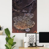 Wobbegong Portrait Poster (Heimbüro)