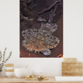 Wobbegong Portrait Poster (Küche)