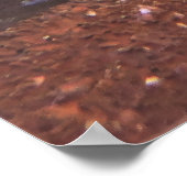 Wobbegong Poster (Ecke)