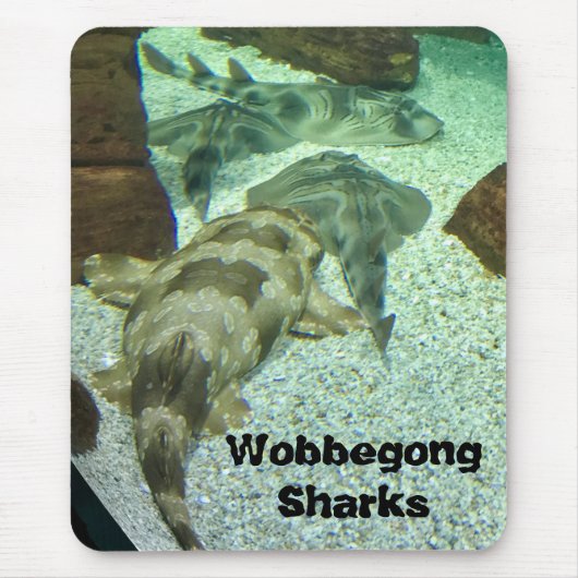 Wobbegong Sharks Mousepad (Vorne)