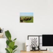 Wobei das Buffalo Roam-02 Poster (Heimbüro)