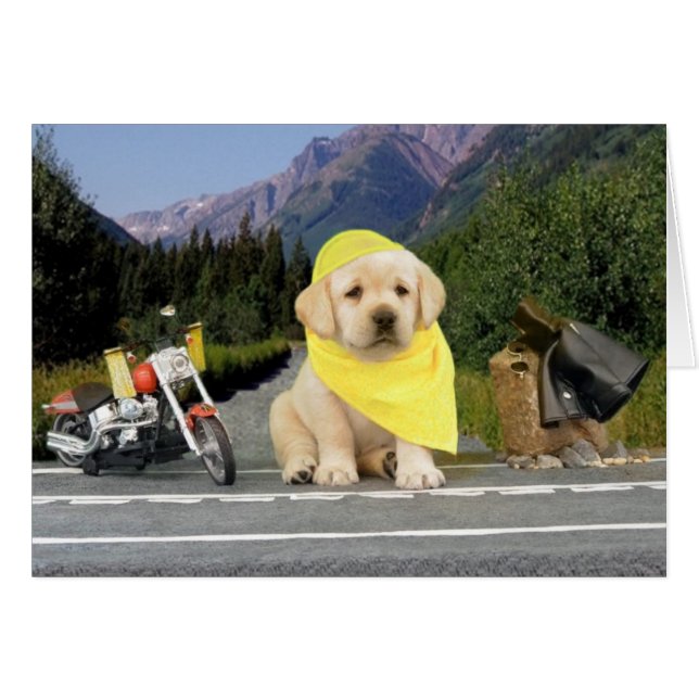 Woche 5 Leigh Ann (Vorderseite (Horizontal))