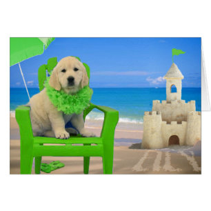 Woche 8 - Strand-Lilie