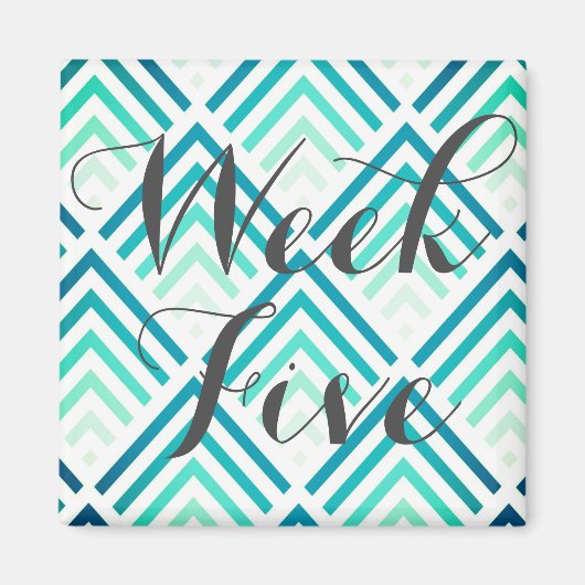 Woche fünf magnet (Vorne)