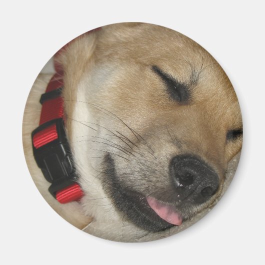 Wochenende Dexter Bebe Magnet (Vorne)