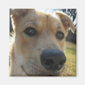 Wochenende Dexter Magnet (Vorne)