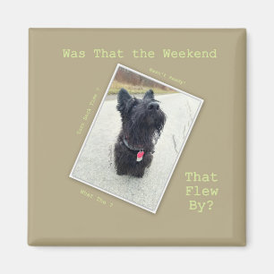 Wochenende ... Welches Wochenende? Magnet