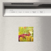 Wochenmarkt für Obst und Gemüse. Magnet (In Situ (Geschirrspüler))
