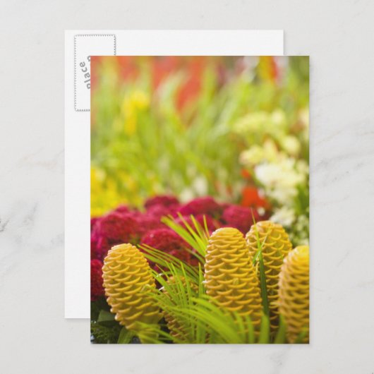 Wochenmarkt für Obst und Gemüse. Postkarte (Vorne/Hinten)