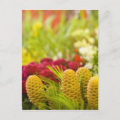 Wochenmarkt für Obst und Gemüse. Postkarte (Vorderseite)