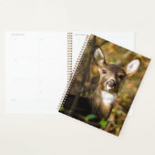 Wöchentlich/monatlich gezogener Hirschplaner Planer (Anzeige)