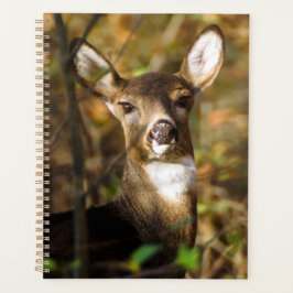 Wöchentlich/monatlich gezogener Hirschplaner Planer