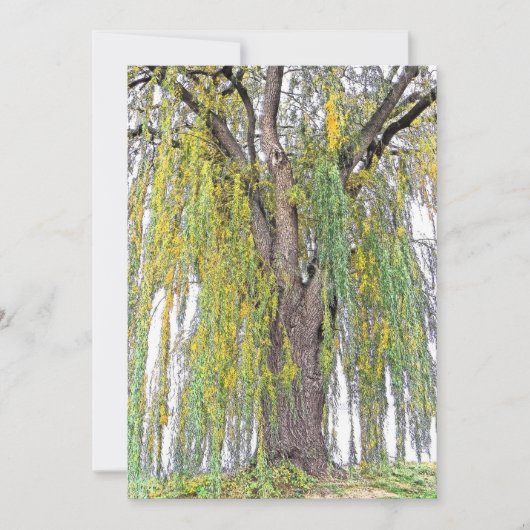 WOCHENWILCH/GELBE UND GRÜNE TENDRILS/BLANK (Vorderseite)