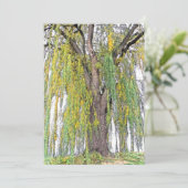 WOCHENWILCH/GELBE UND GRÜNE TENDRILS/BLANK (Stehend Vorderseite)