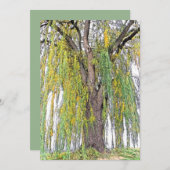 WOCHENWILCH/GELBE UND GRÜNE TENDRILS/BLANK (Vorne/Hinten)