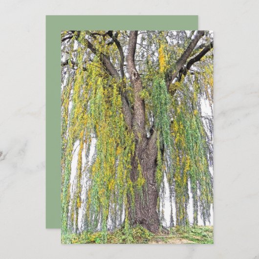 WOCHENWILCH/GELBE UND GRÜNE TENDRILS/BLANK (Vorne/Hinten)