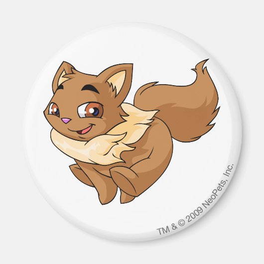 Wocky Brown Magnet (Vorne)