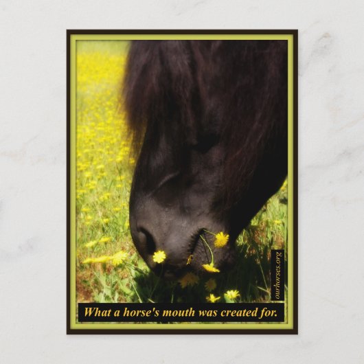Wofür ein Pferdemund geschaffen wurde Postkarte (Vorderseite)