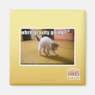 Wohin geht die Schwerkraft? Magnet