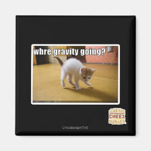 Wohin geht die Schwerkraft? Magnet