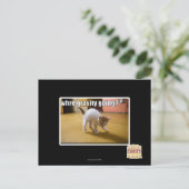 Wohin geht die Schwerkraft? Postkarte (Stehend Vorderseite)