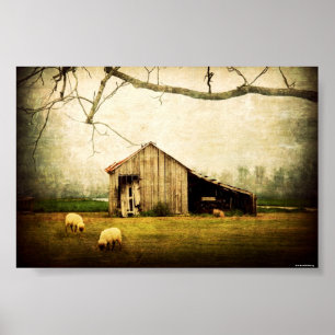 Wohin Sie durchstreifen können, nennen Sie immer Poster