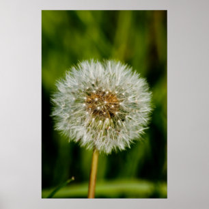 Wohl brennen Sie mich durch Poster