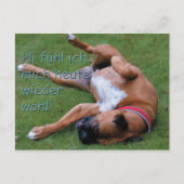 Wohlboxer Postkarte (Vorderseite)