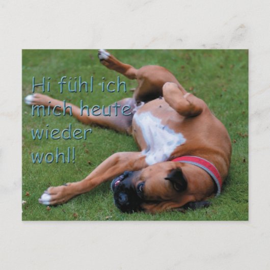 Wohlboxer Postkarte (Vorderseite)