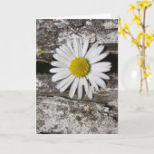 Wohlfühlen Bald, Dämmerung und gestörtes Holz Karte (Gelbe Blume)