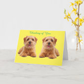 Wohlfühlkarte Karte (Gelbe Blume)