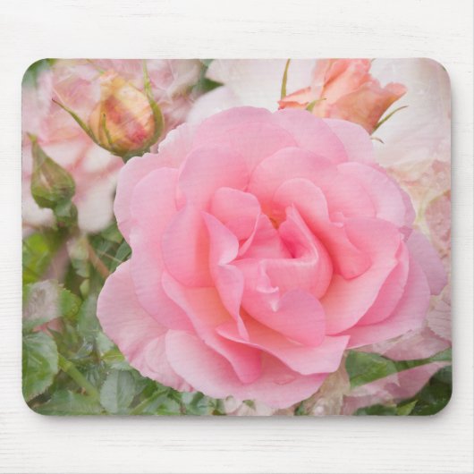 Wohlriechende Wolken-Rose Mousepad (Vorne)