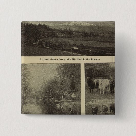 Wohlstand, viel in Oregon Button (Vorderseite)