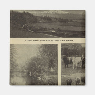 Wohlstand, viel in Oregon Magnet