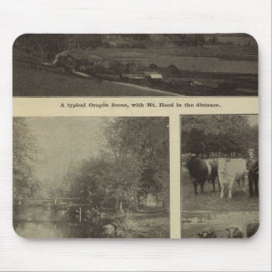 Wohlstand, viel in Oregon Mousepad