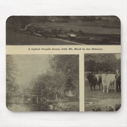 Wohlstand, viel in Oregon Mousepad (Vorne)