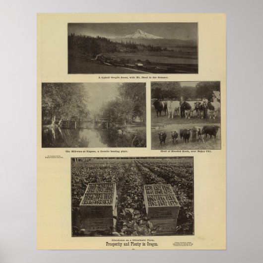 Wohlstand, viel in Oregon Poster (Vorne)