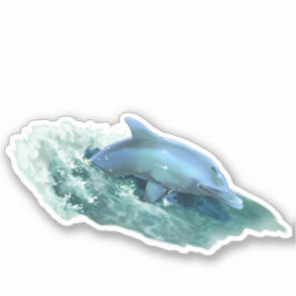 Wohltätigkeit Surfsticker für Dolphin Hurricane Re Aufkleber