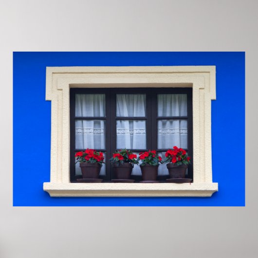 Wohngebäude mit Blume in Fenstern Poster (Vorne)