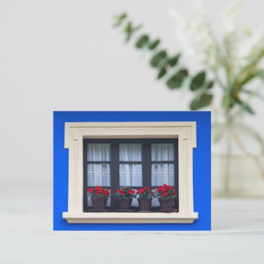 Wohngebäude mit Blume in Fenstern Postkarte (Stehend Vorderseite)