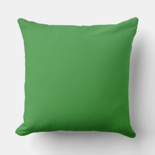 Wohngestaltung akzeptiert Grün Kissen