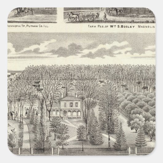 Wohnsitz Maple Grove Quadratischer Aufkleber (Vorderseite)