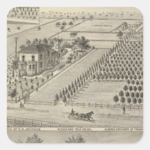 Wohnsitz-Waldland, Ritter-Landung Quadratischer Aufkleber