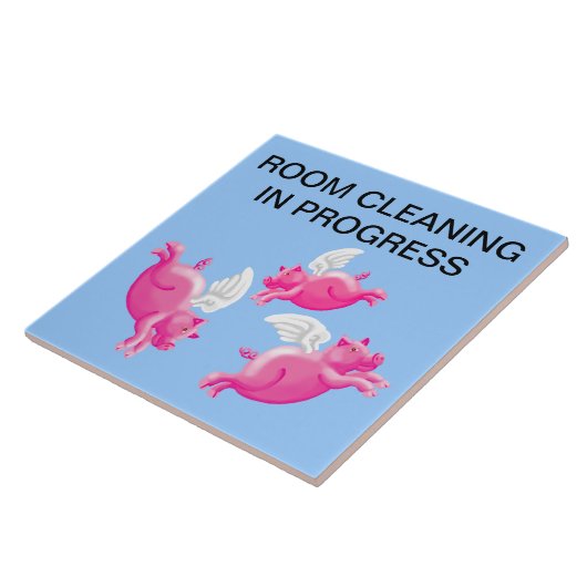 Wohnungsreinigung läuft fliese (Seite)