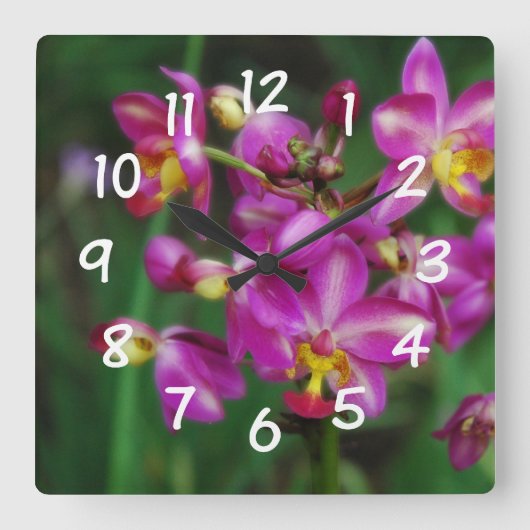 Wohnzimmer - lila Orchideen Foto Quadratische Wanduhr (Vorderseite)