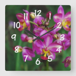 Wohnzimmer - lila Orchideen Foto Quadratische Wanduhr
