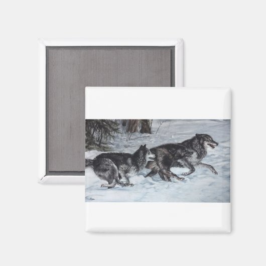 Wölbchen, die durch den Schnee laufen Magnet (Vorderseite/Rückseite)